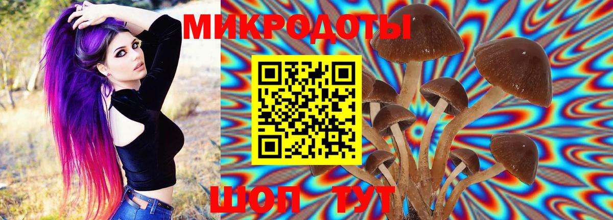 Галлюциногенные грибы Magic Shrooms  Вход с VPN  Галлюциногенные грибы мухоморы  купить наркотик  Кудрово 